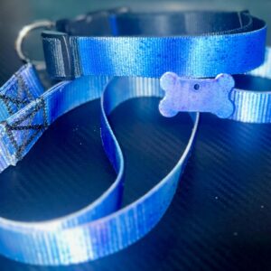 Custom Collar and Leash Set